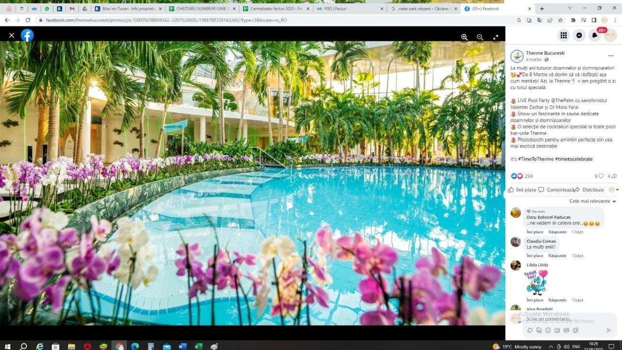Bliss Inn Tunari Voluntari Bagian luar foto